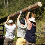 It took 3 men and a boy to move the logs in for the deck off The Valhalla Suite!